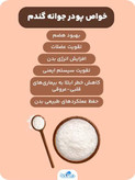 پک 3 عددی کمک به حضم در سیستم گوارش با پودر جوانه گندم