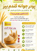 پک دوتایی پودر جوانه گندم وین استار اورجینال